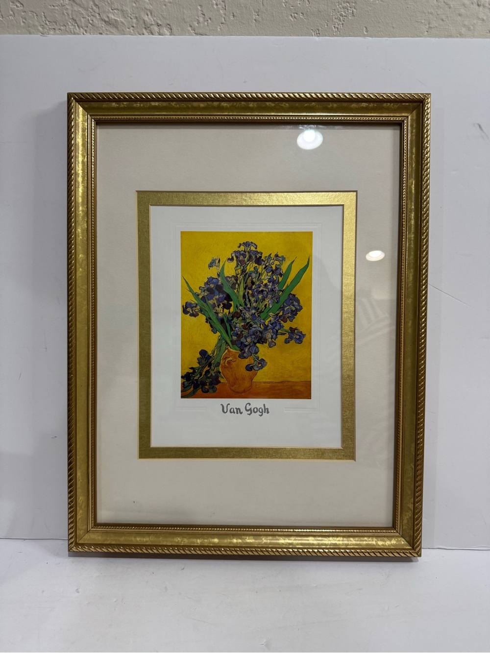 Framed Van Gogh "Irises" Art Print